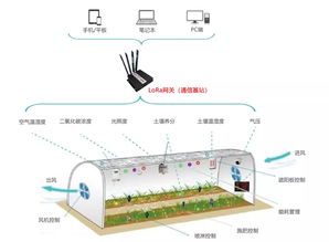 一人掌控千畝良田 LoRa物聯(lián)網(wǎng)技術(shù)如何重塑智慧農(nóng)業(yè)新格局